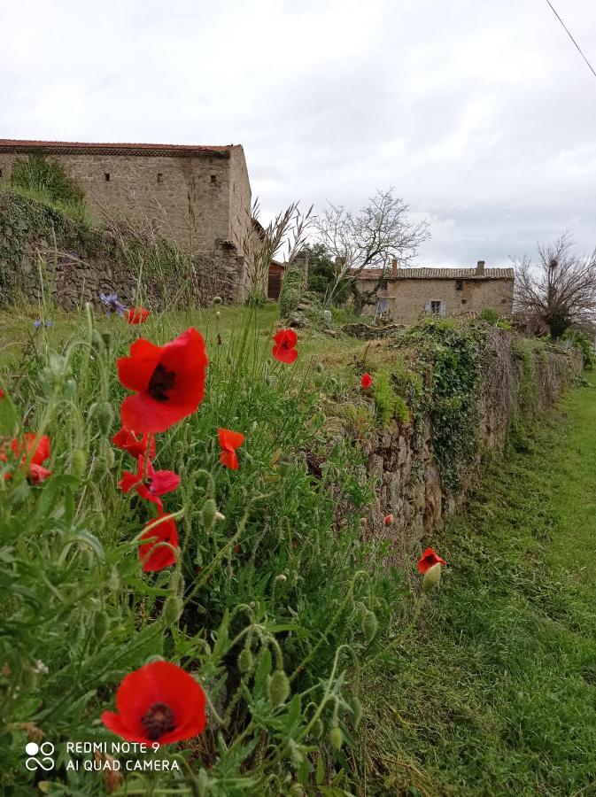 Ferme De Fenivou Villa Boulieu-les-Annonay Luaran gambar